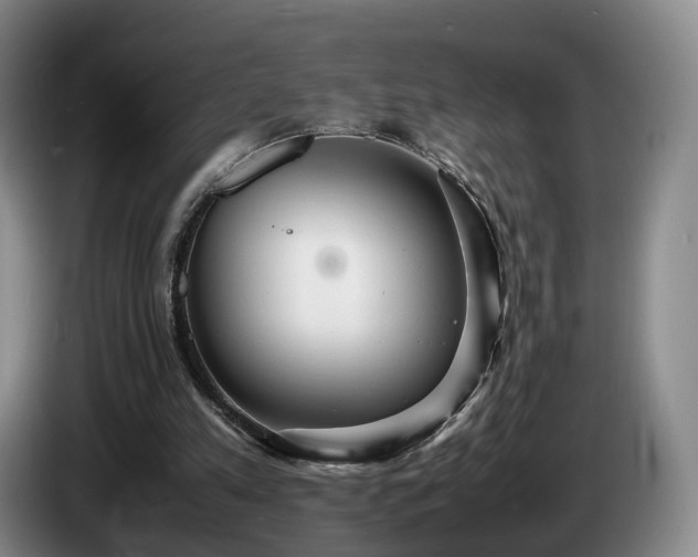 X0000085070197200703121649