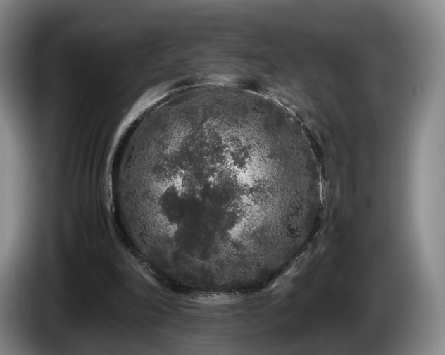 X0000085070198200703121649