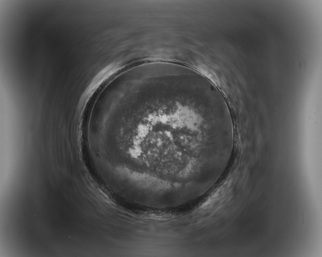 X0000085070199200703121649