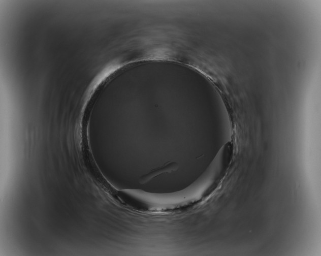 X0000085070200200703121649