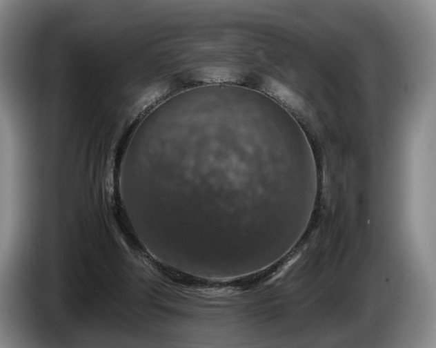 X0000085070202200703121649