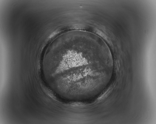 X0000085070203200703121649