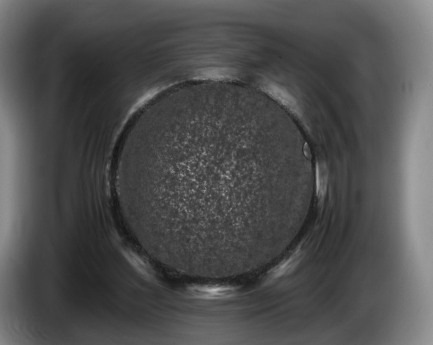 X0000085070204200703121649