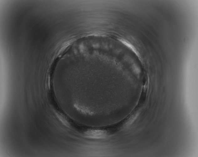 X0000085070205200703121649