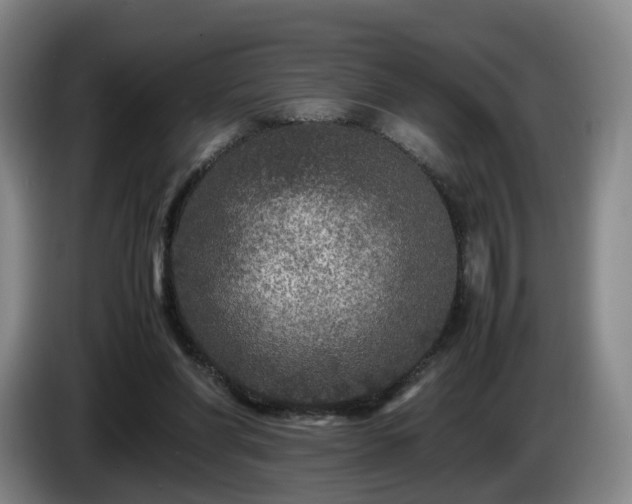 X0000085070206200703121649