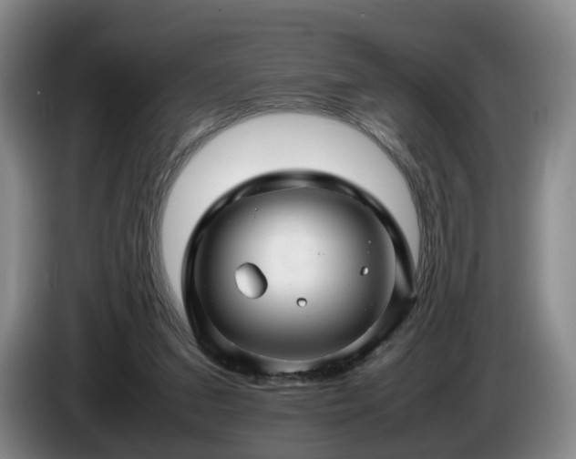 X0000085070207200703121649