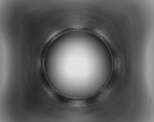 X0000085070208200703121649