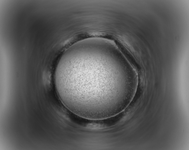 X0000085070211200703121649