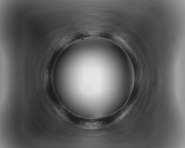 X0000085070213200703121649