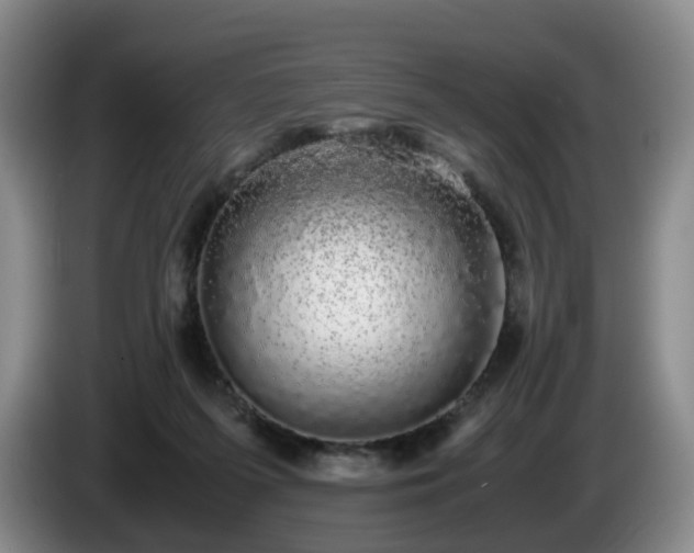 X0000085070215200703121649