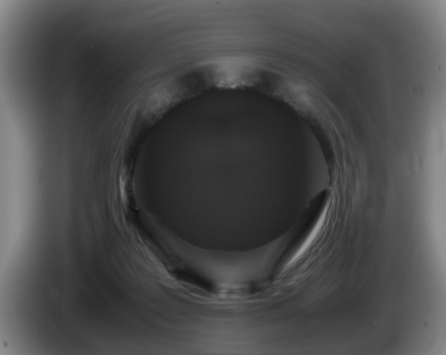 X0000085070219200703121648