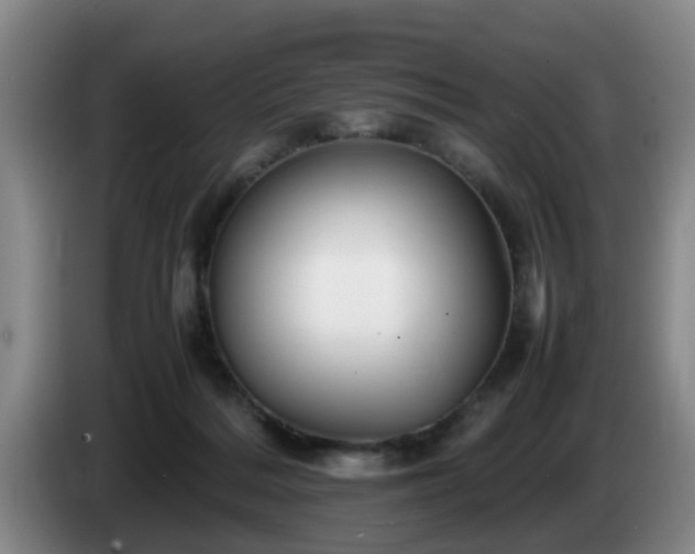 X0000085070220200703121648