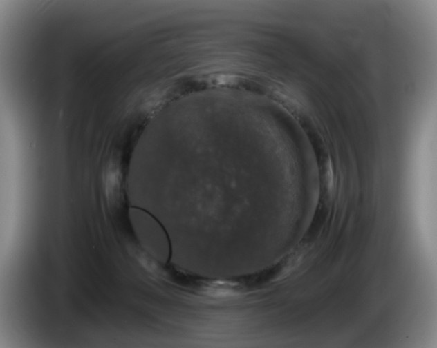 X0000085070222200703121648