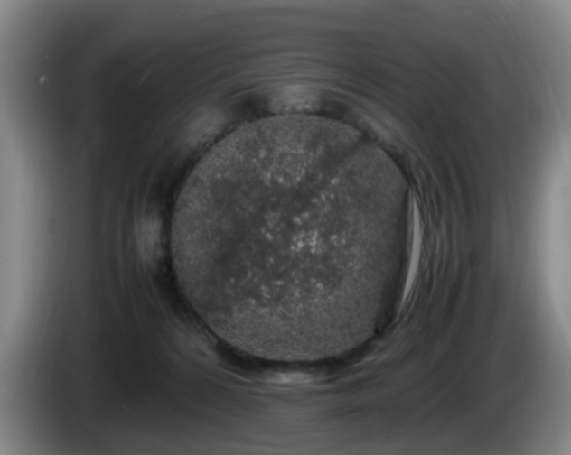 X0000085070224200703121648