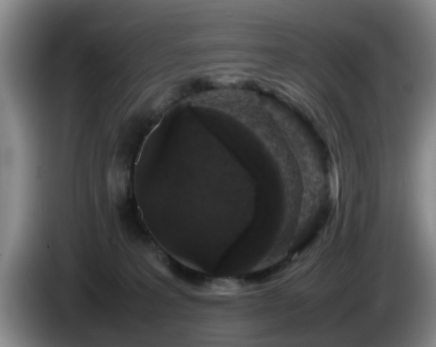 X0000085070227200703121648