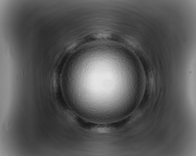 X0000085070228200703121648