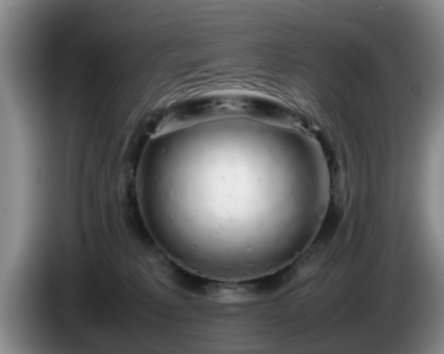 X0000085070229200703121648