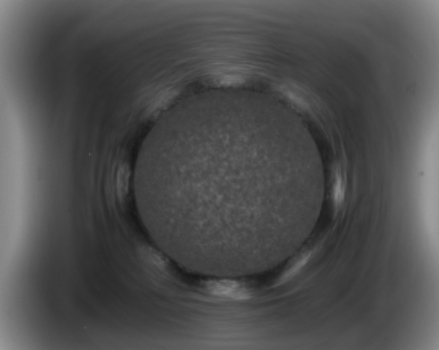 X0000085070230200703121648