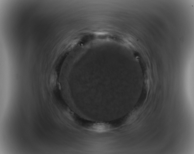 X0000085070231200703121648