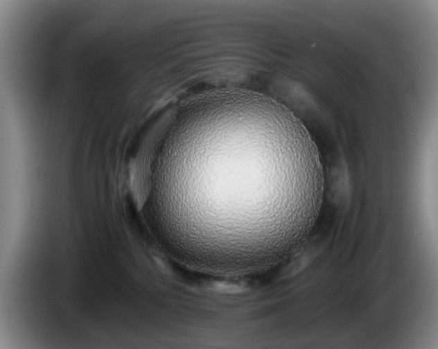 X0000085070232200703121648