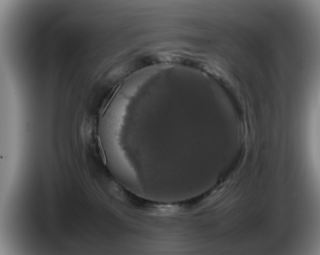 X0000085070233200703121648