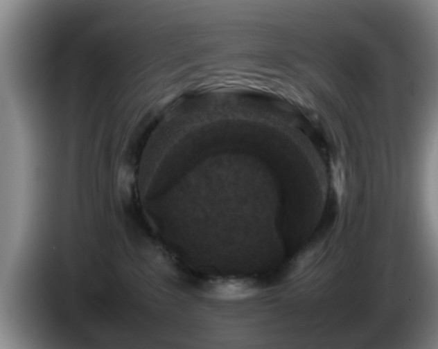 X0000085070235200703121648