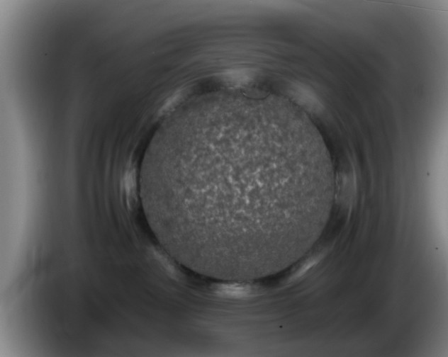 X0000085070238200703121648