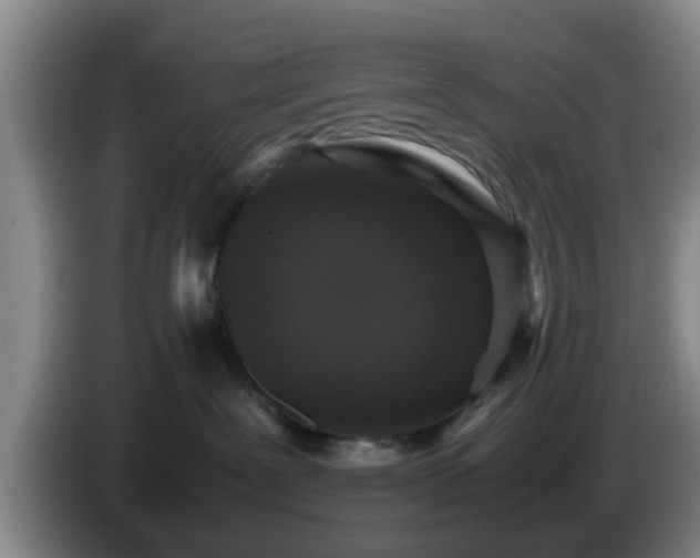 X0000085070239200703121648