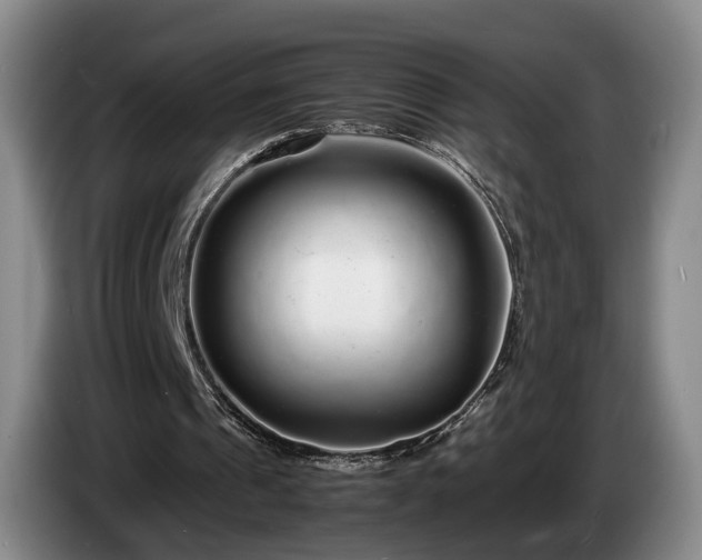 X0000085070241200703121648