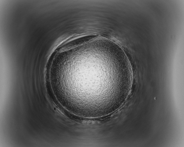 X0000085070242200703121648