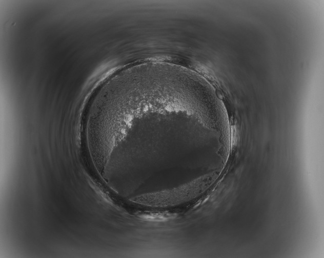 X0000085070243200703121648