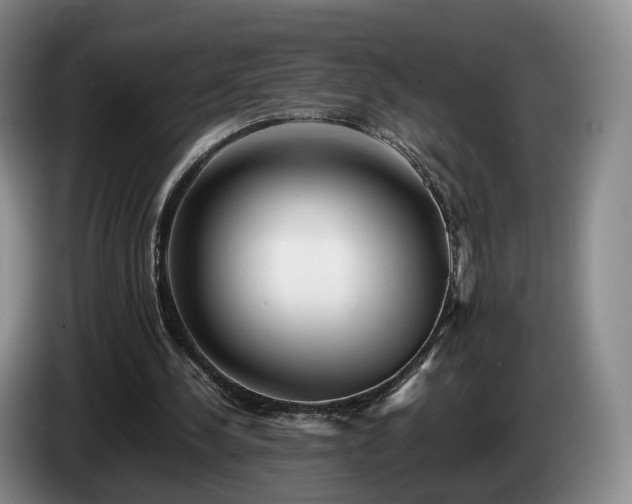 X0000085070244200703121648