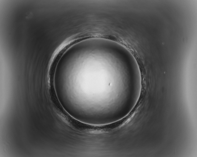 X0000085070246200703121648