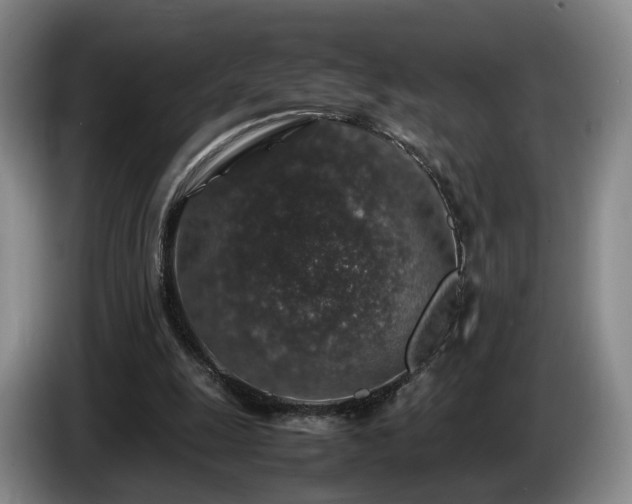 X0000085070247200703121648