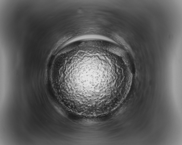 X0000085070250200703121648