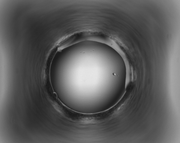 X0000085070252200703121648