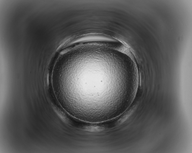 X0000085070253200703121648