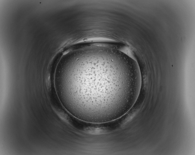 X0000085070254200703121648