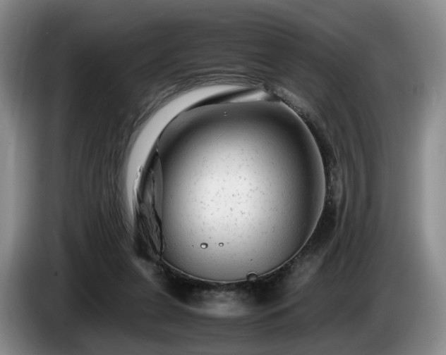 X0000085070255200703121648