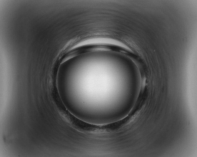 X0000085070256200703121648