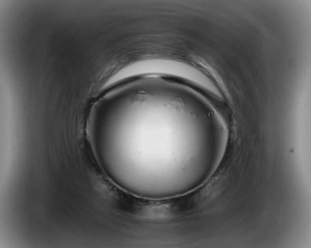 X0000085070257200703121648