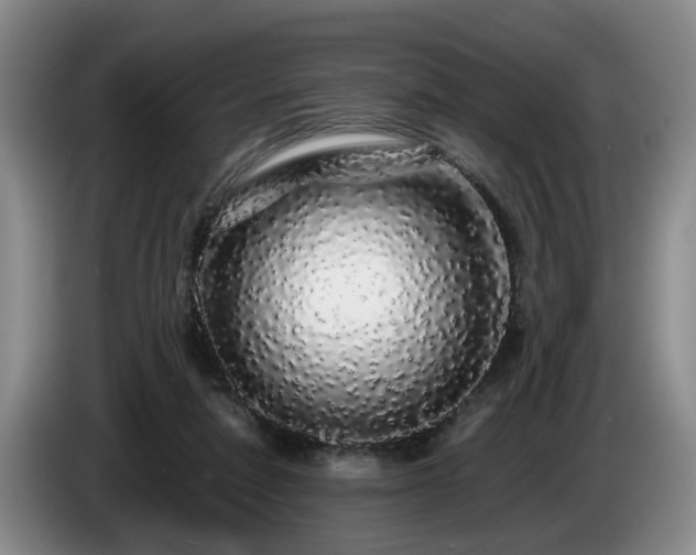 X0000085070258200703121648