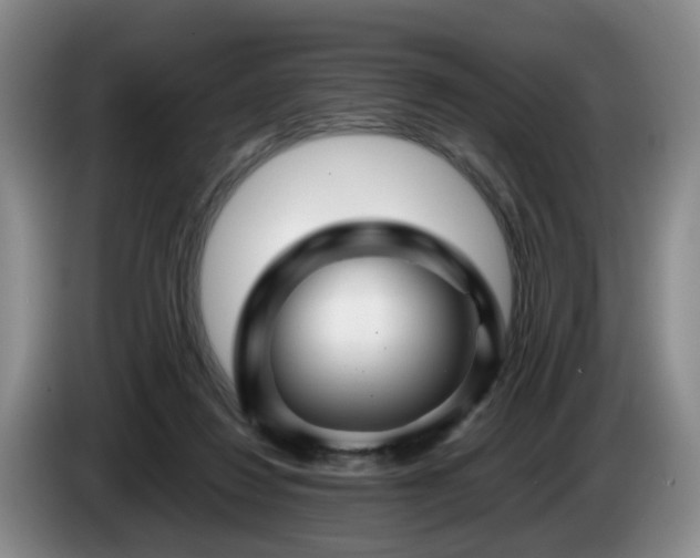 X0000085070260200703121648