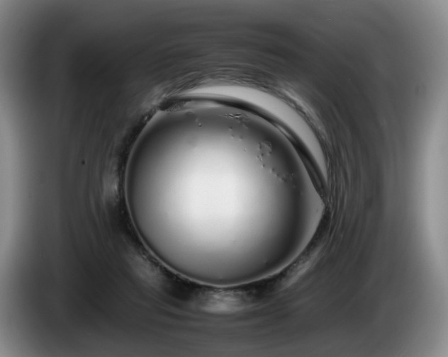 X0000085070261200703121648