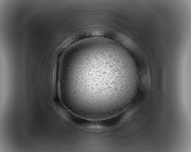 X0000085070262200703121648