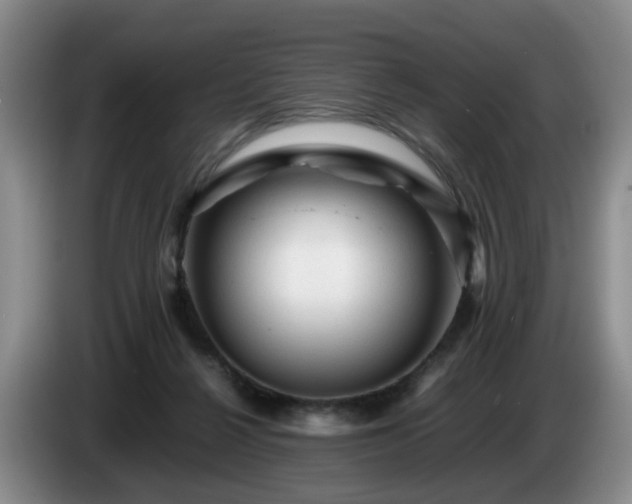 X0000085070264200703121648