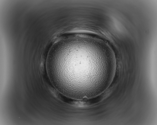 X0000085070265200703121648