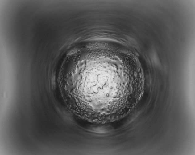 X0000085070267200703121648