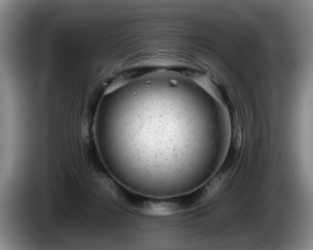 X0000085070268200703121648