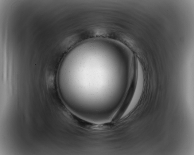 X0000085070269200703121648